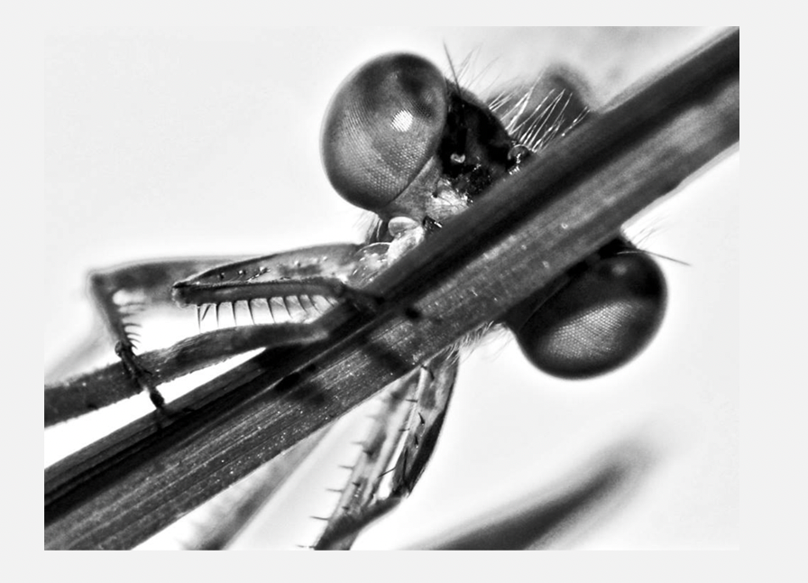 Zrzut ekranu 2026-04-12 o 20.17.36.png