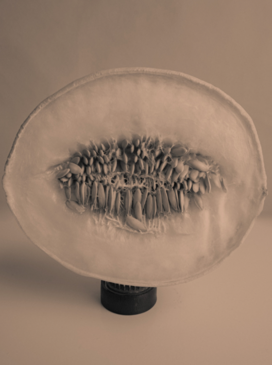 Zrzut ekranu 2026-04-9 o 13.31.59.png