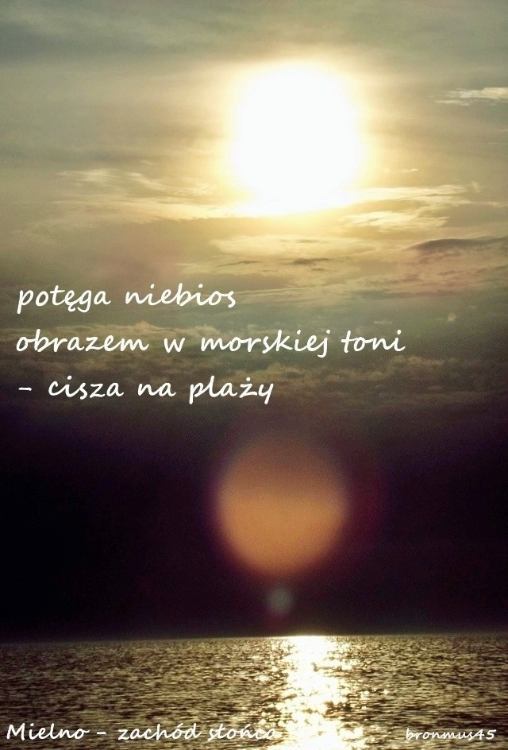 haiga.jpg