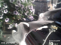 image.png.83fe5233ef280820afd304cf743b89b1.png