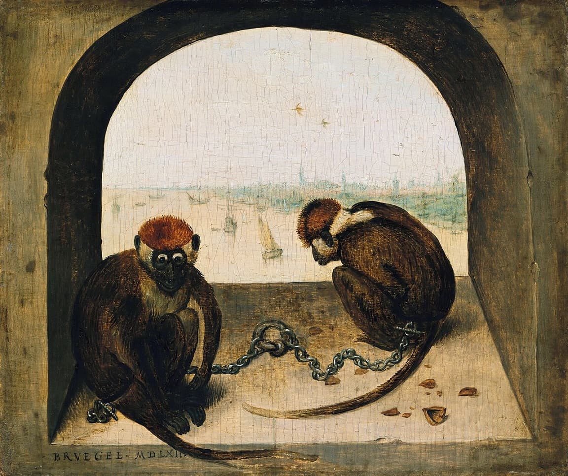 Dwie małpy, Pieter Bruegel